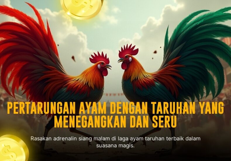 Mengenal Ayam Bangkok: Raja Sabung Ayam di SV388