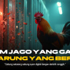 Sabung Ayam: Seni Bertaruh dengan Strategi dan Risiko Tinggi