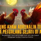 Rahasia Keseruan Sabung Ayam S128 yang Bikin Nagih!