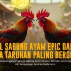 SV388: Platform Sabung Ayam Modern dengan Odds Menguntungkan