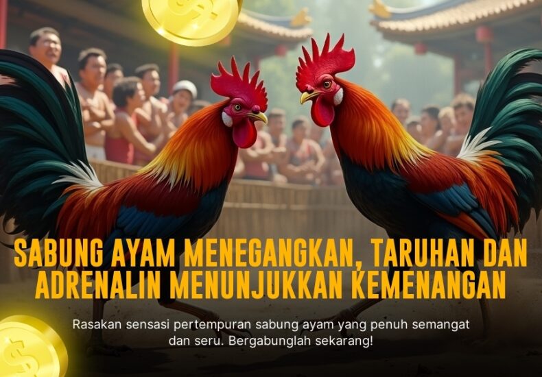 Mengupas Tuntas Sabung Ayam Bangkok: Jenis Ayam, Odds, dan Provider Terpercaya